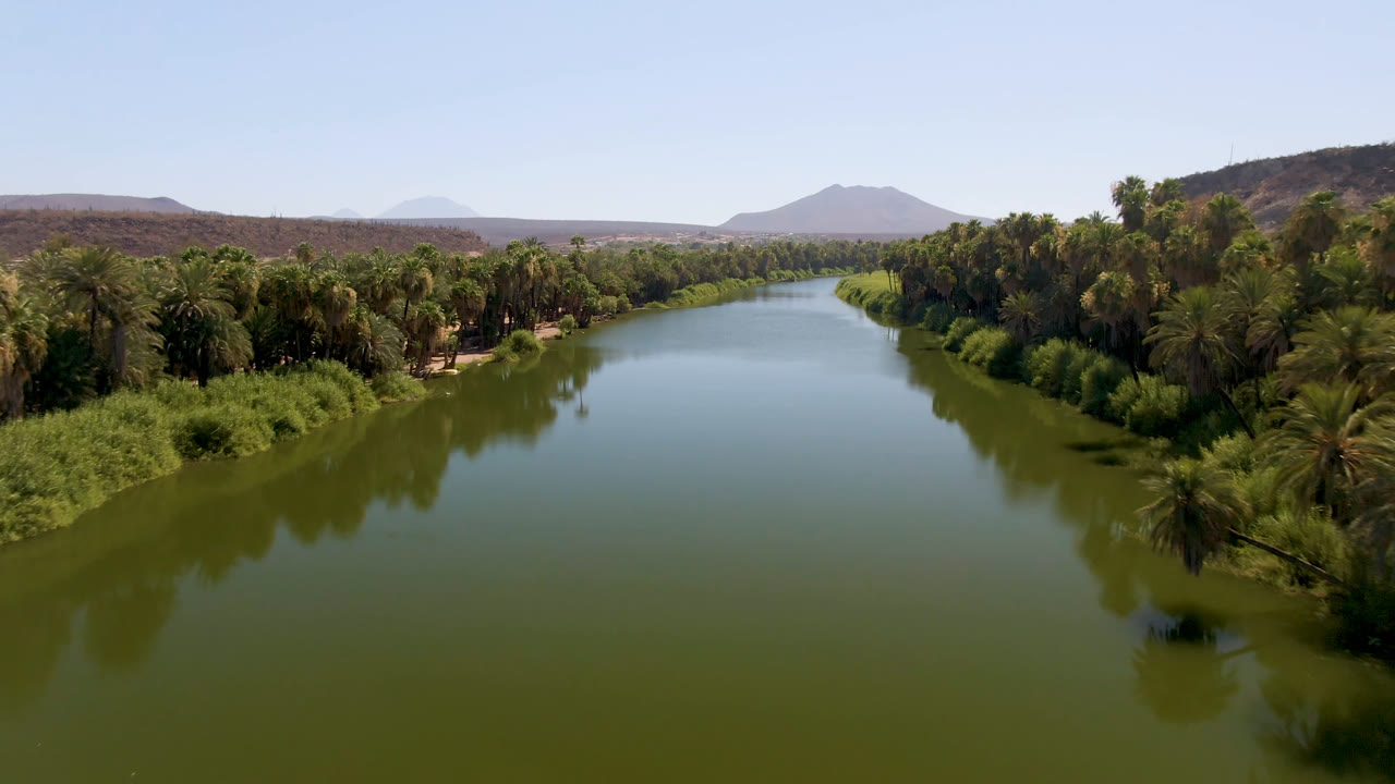 Wide aerial frame over a green river in San Ignacio, Baja California Sur, Mexico, with palm-lined banks, desert hills, a distant mountain, clear sky, and no visible people.