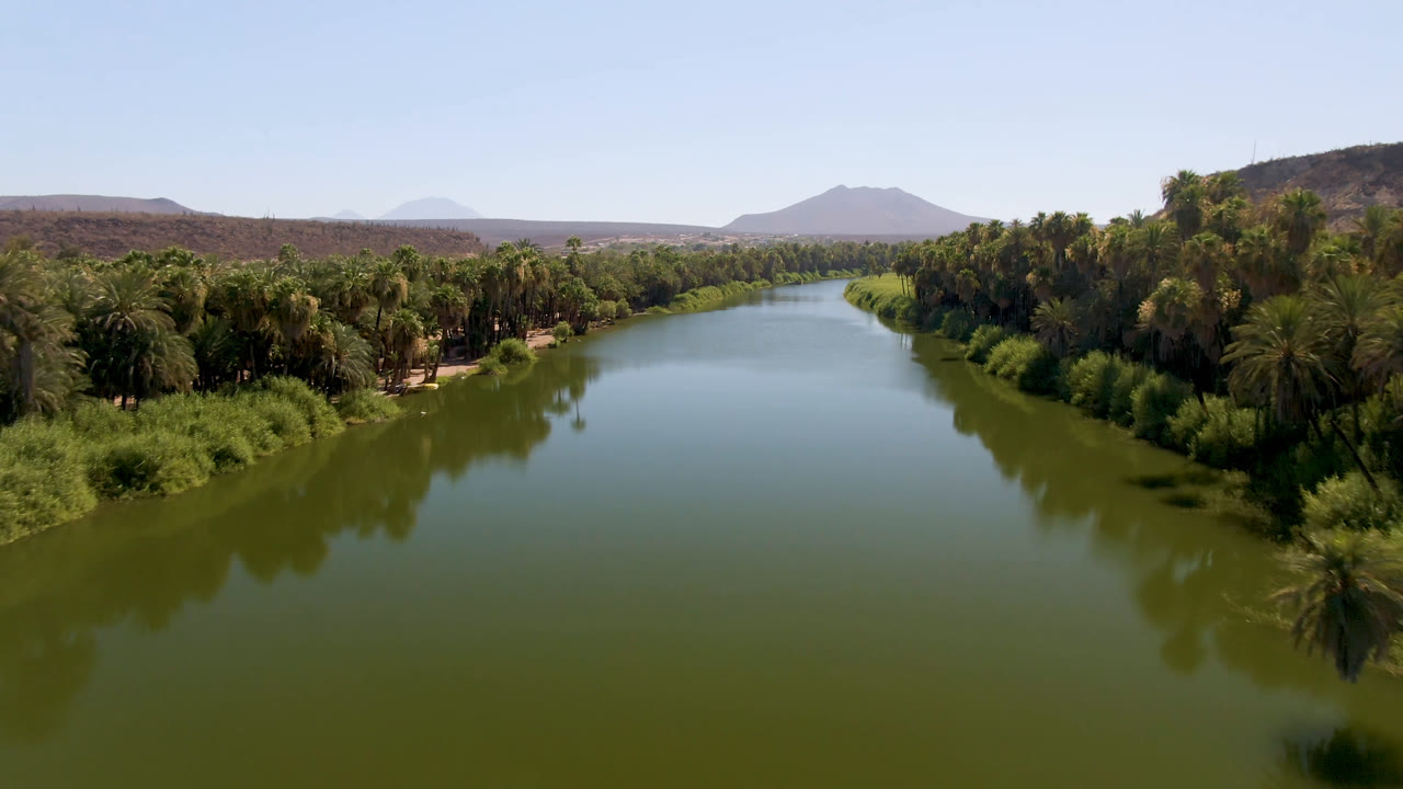 Aerial view of the San Ignacio river corridor with green water centered between dense palm groves, low brown hills, a distant mountain, clear sky, and no visible people.