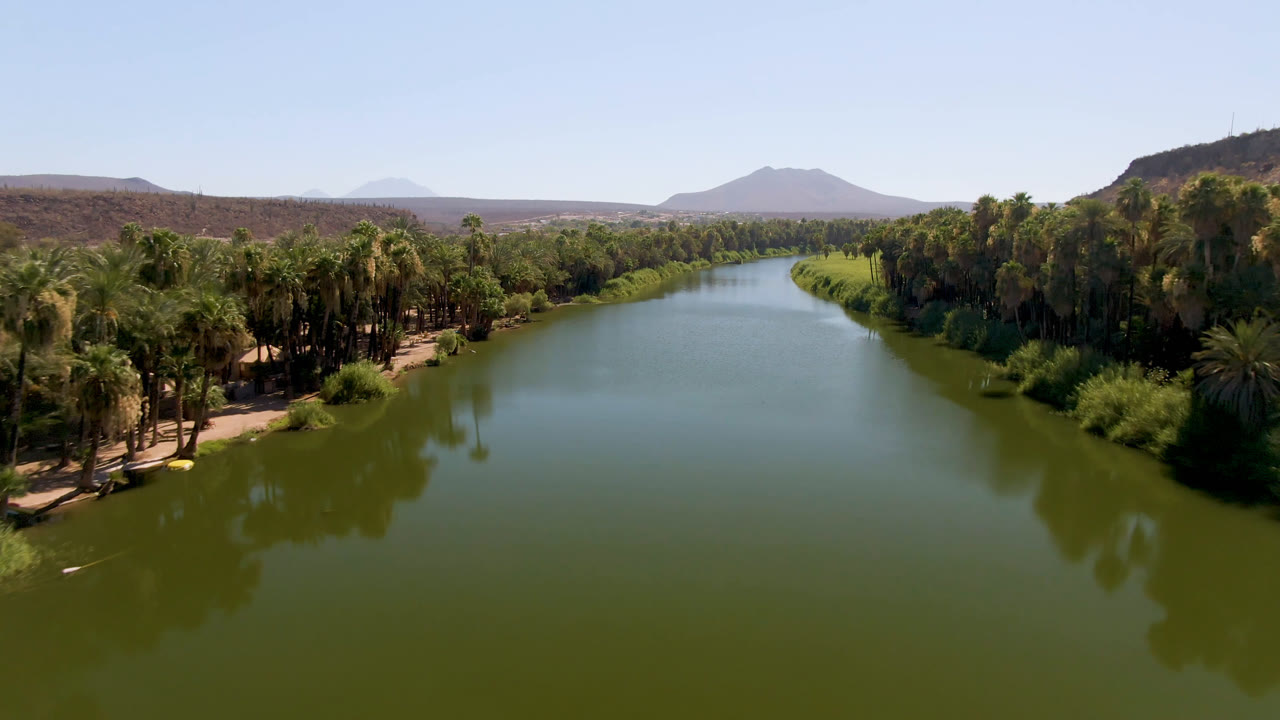 Aerial view in San Ignacio, Baja California Sur, Mexico, showing green river water running between palm-lined banks with distant low hills and no visible people.
