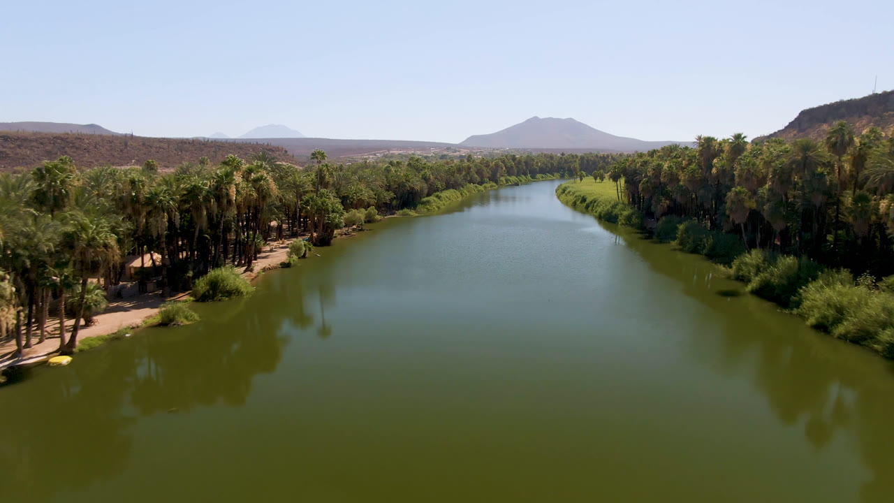Wide aerial frame in San Ignacio, Baja California Sur, Mexico, looking down a green river with dense palms on both sides, brown hills beyond, and no visible people.