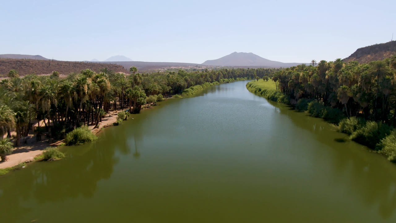 Aerial river view with palm-covered banks and a low mountain on the horizon.