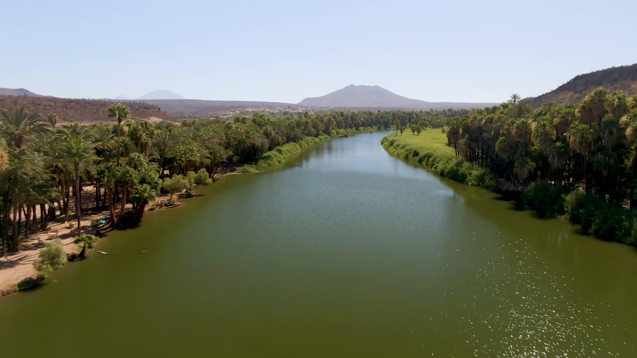Opening frame over a green river in San Ignacio, Baja California Sur, with palm trees on both banks, brown hills in the distance, clear blue sky, and no visible people.