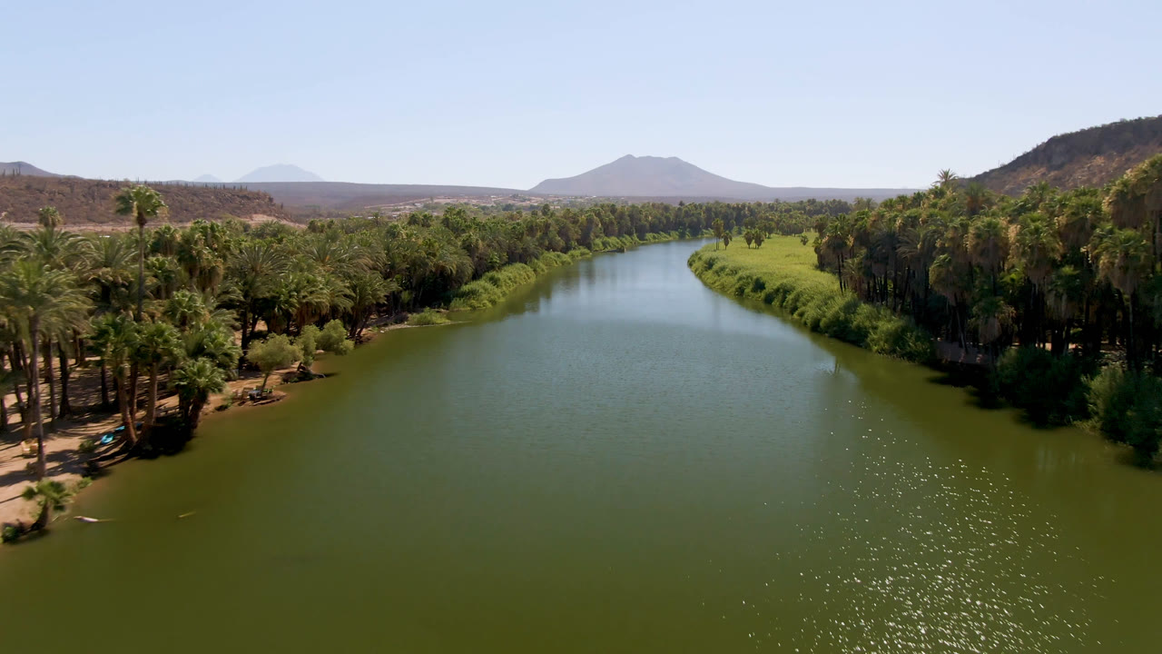 Second frame shows the San Ignacio river curving through dense palms, with bright reflections on the green water, low desert ridges, a distant mountain, and no visible people.