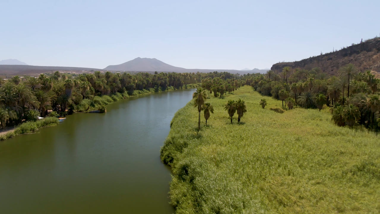 Aerial frame from San Ignacio, Baja California Sur, showing the river running between a palm-lined left bank and a grassy point on the right, with hills and pale sky in the background.