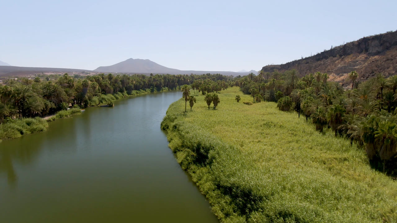 Wide aerial view of river, reeds, palm trees, hillside, and mountains