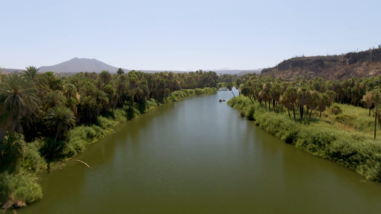 Aerial frame of the San Ignacio river oasis with a small boat on the water, thick palms on both banks, hazy hills beyond, and no visible people.