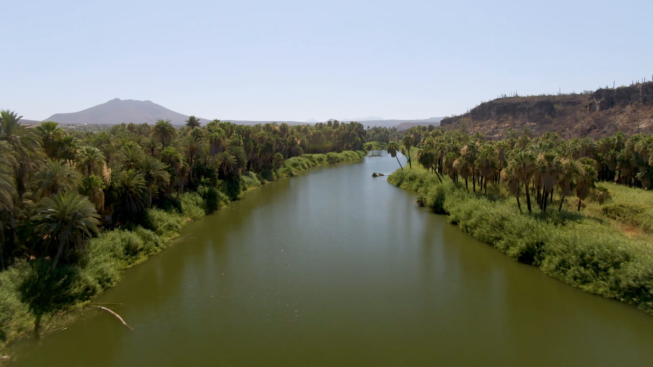 Wide aerial view down a calm river bordered by palms and brush.