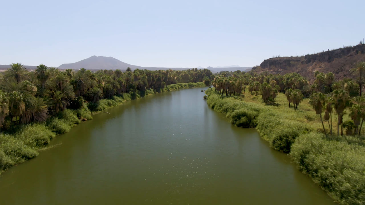Aerial view in San Ignacio, Baja California Sur, looking along a green river between palm groves and reeds toward a rocky hill, with no visible people.