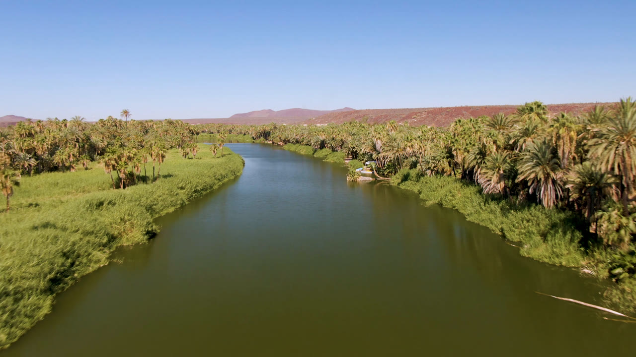 Aerial view over San Ignacio, Baja California Sur, with a green river bending between dense palms, bright grass, distant red-brown hills, and no visible people.