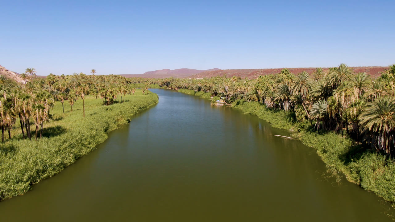 Aerial view in San Ignacio, Baja California Sur, Mexico, looking over a green river bordered by palms, grasses, distant reddish hills, and no visible people.