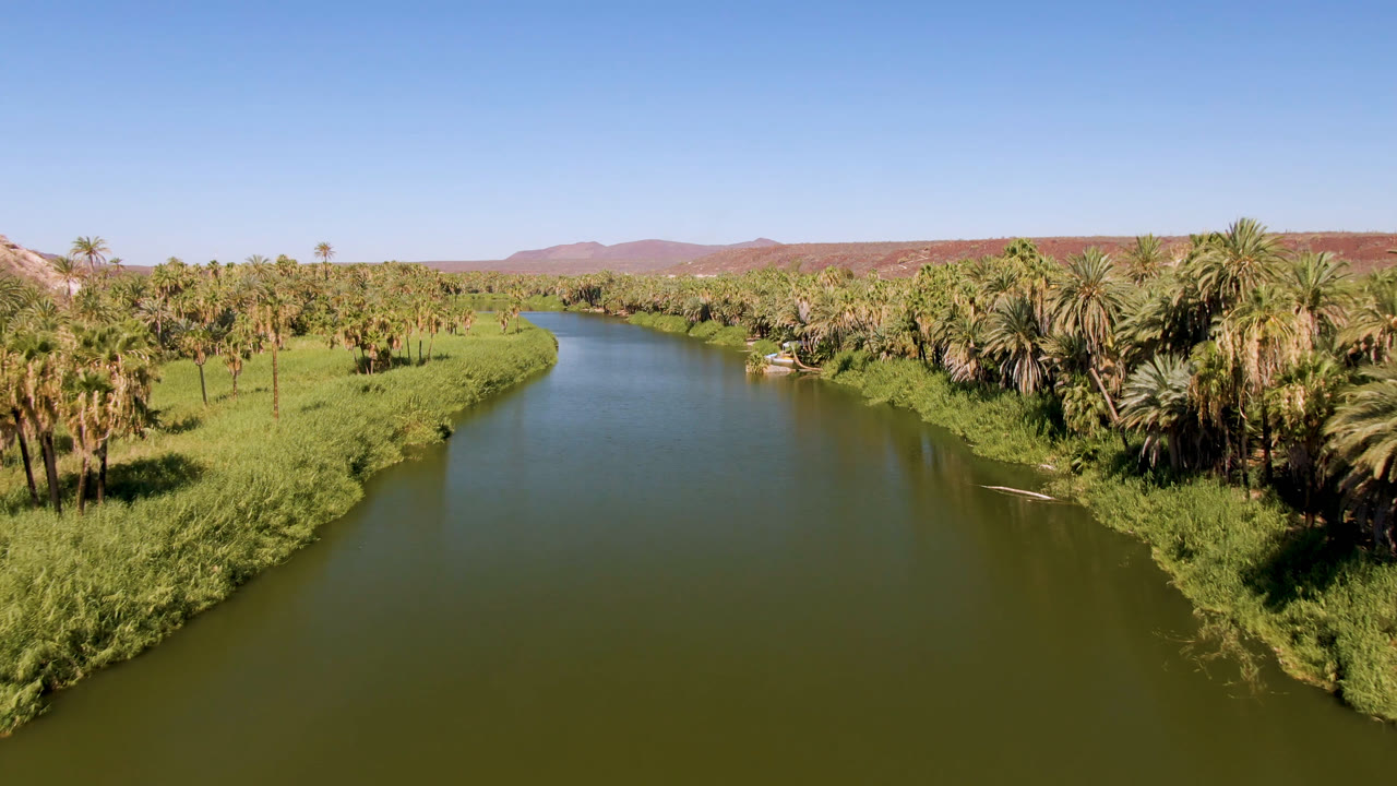 Wide river bend beside dense palms and bright green riverbank vegetation.
