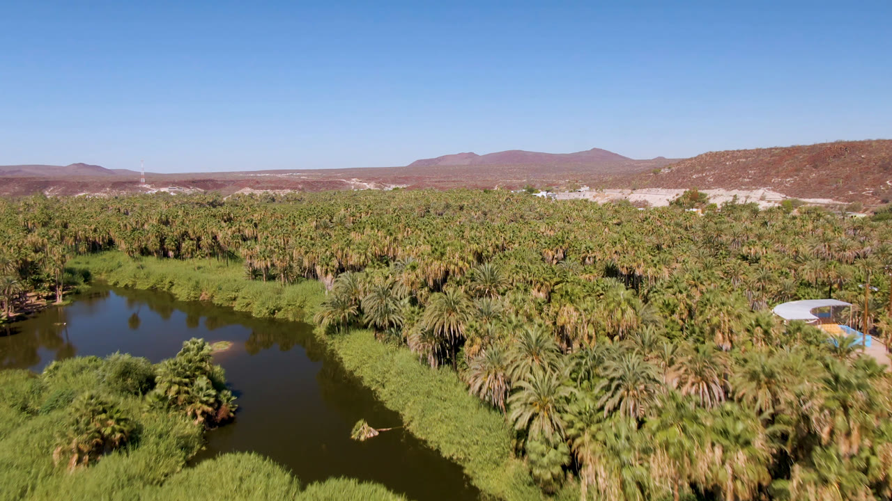 At 0:01, the San Ignacio oasis fills the frame with a curving dark waterway, thick palms, green banks, a small light-colored roof at right, and no visible people.