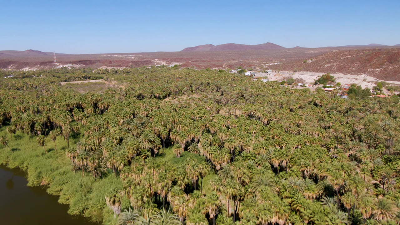 At 0:00, a wide aerial view over San Ignacio, Baja California Sur shows dense palms beside dark river water, dry hills, distant mountains, clear sky, and no visible people.