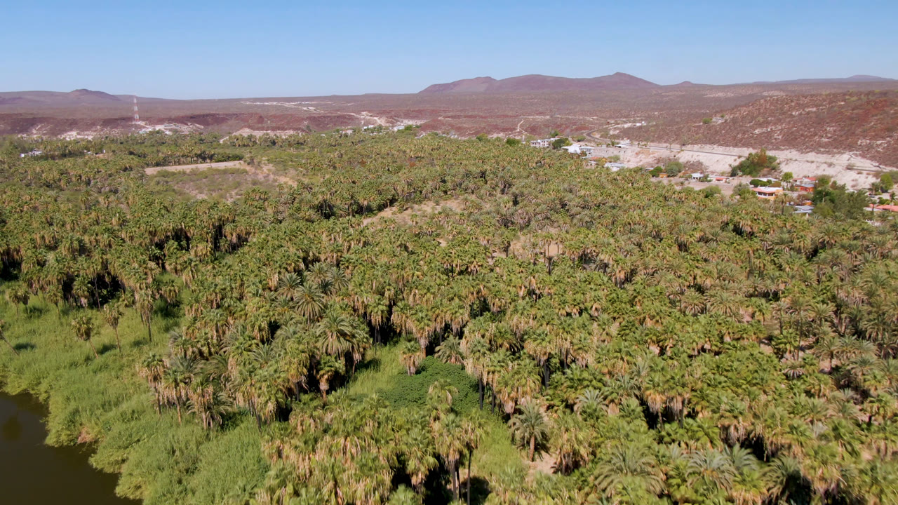 At 0:01, the San Ignacio aerial frame keeps the river and green palms low in view while dry ridges, scattered buildings, and a flat blue sky fill the background, with no visible people.