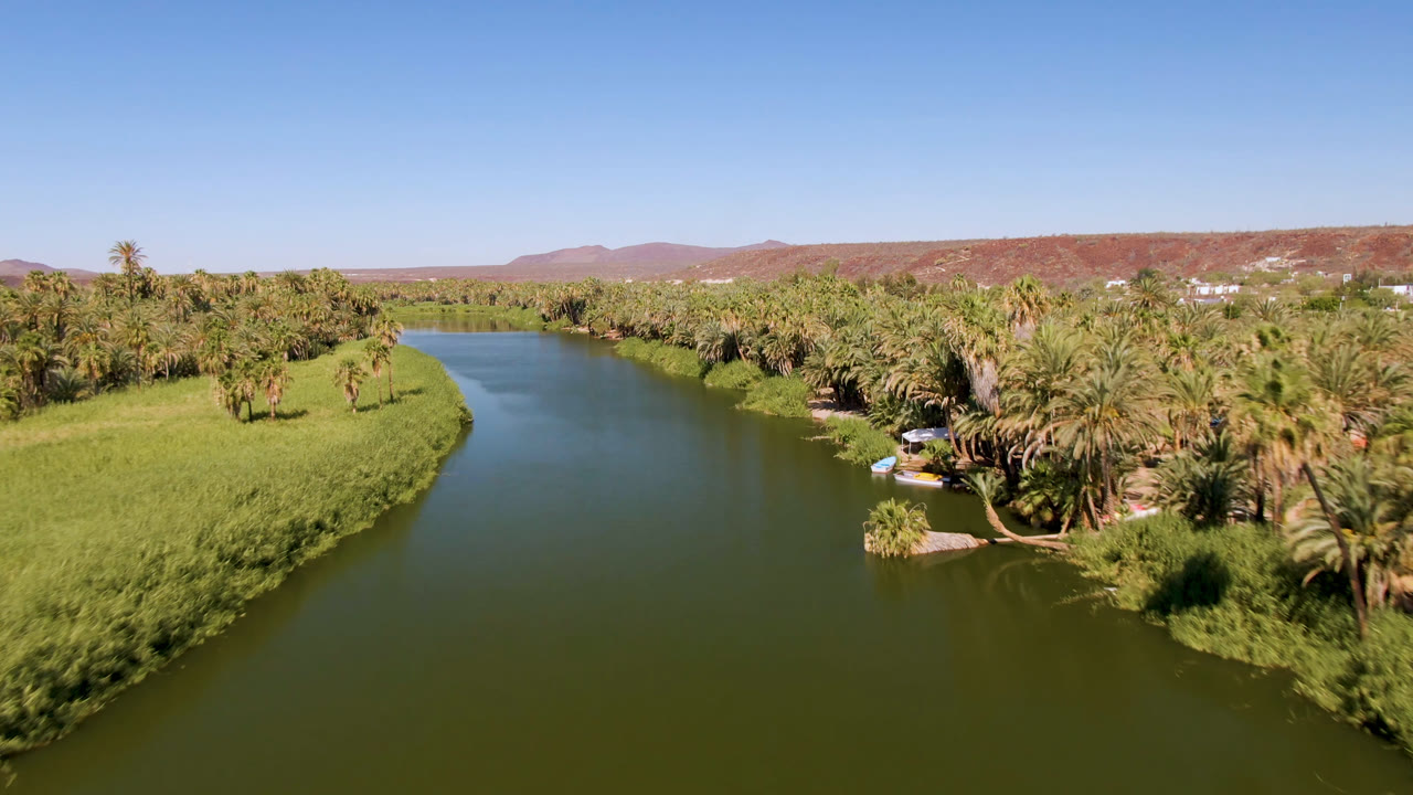 Aerial view in San Ignacio, Baja California Sur, Mexico, looking over green river water curving between palm groves, bright grasses, distant low hills, and no visible people.
