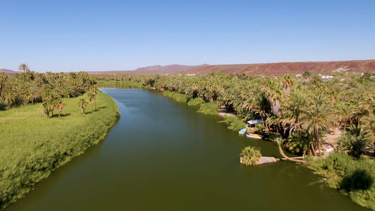 Aerial frame over San Ignacio showing the river bend, dense palm trees on the right bank, bright green vegetation on the left bank, small boats by the shore, and no visible people.