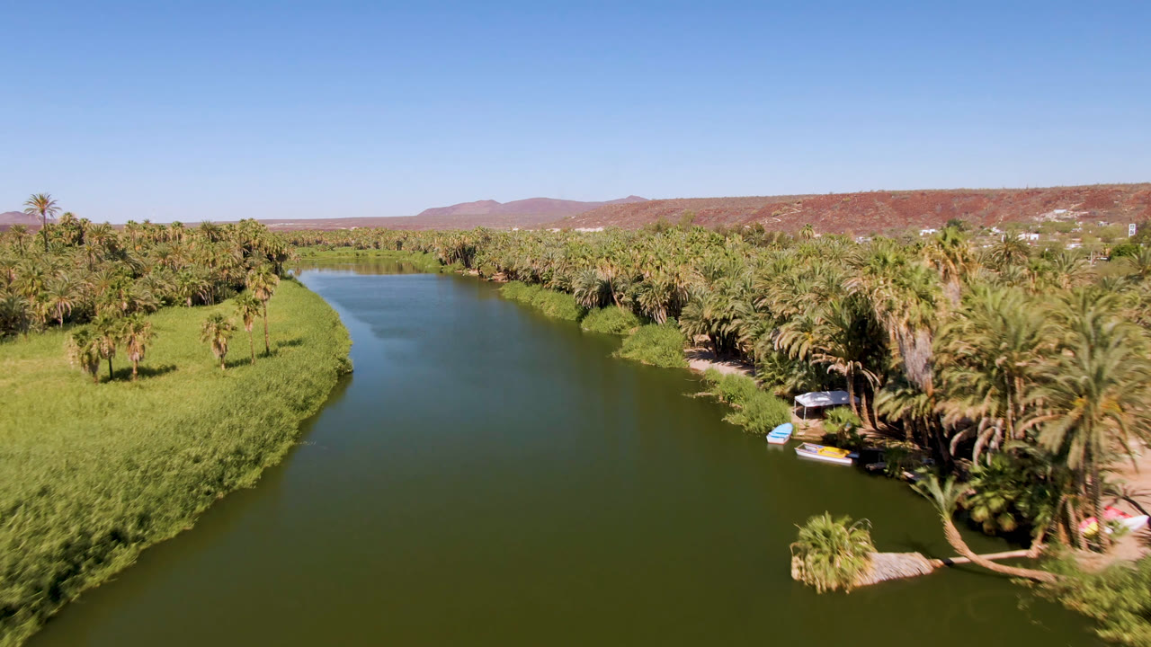 Wide aerial view of a river channel through a palm oasis.