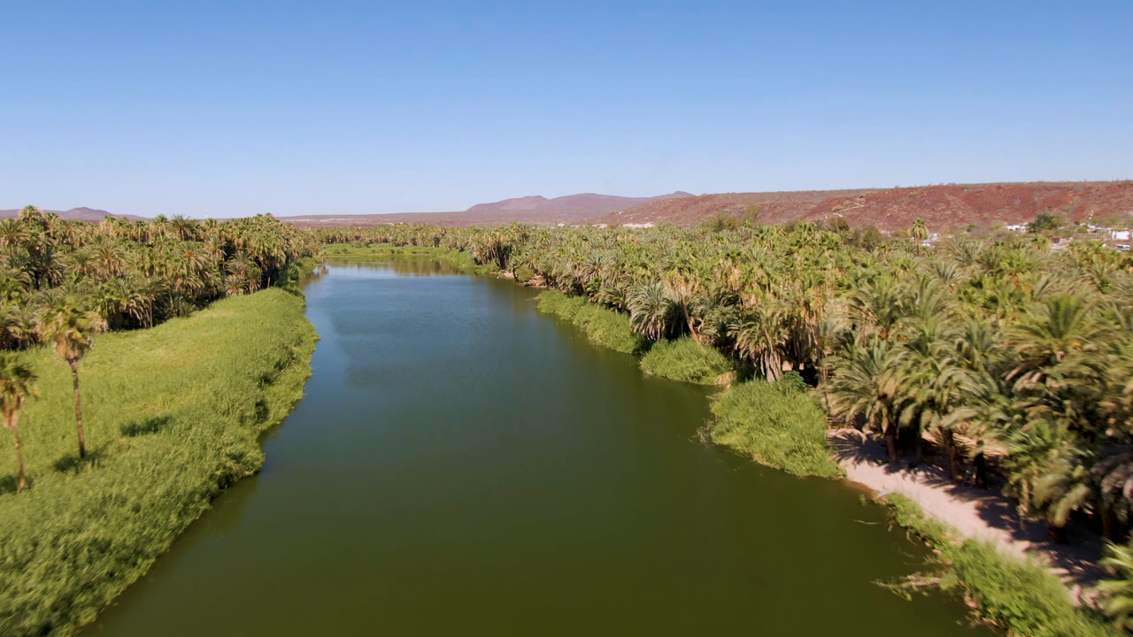 At 0:00, an elevated view in San Ignacio, Baja California Sur shows green river water between dense palms, grasses, distant reddish hills, and no visible people.