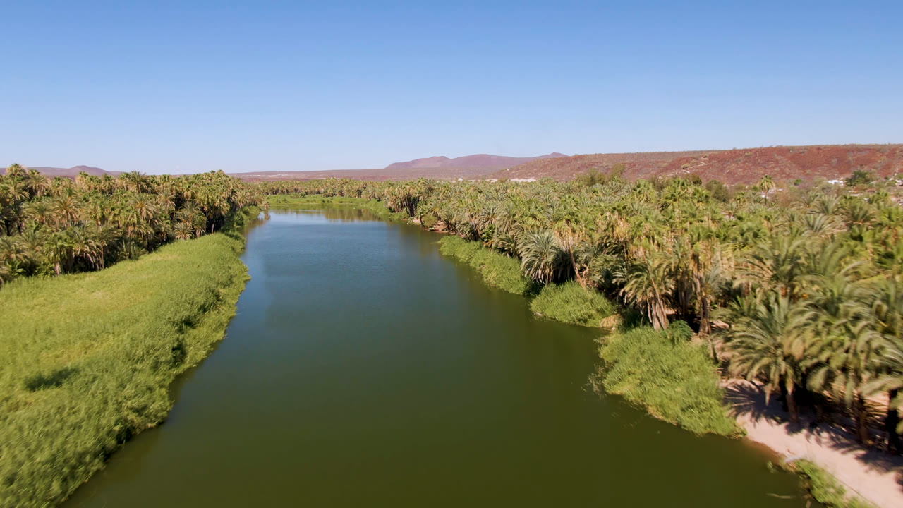 At 0:01, the San Ignacio river channel sits centered in the frame, with palm groves and bright green bank vegetation leading toward low desert hills and no visible people.