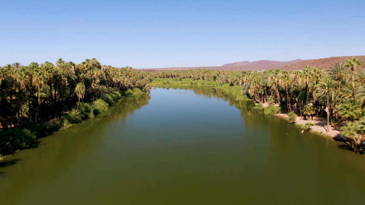 Wide aerial view of a green river bordered by palm trees under a clear blue sky.