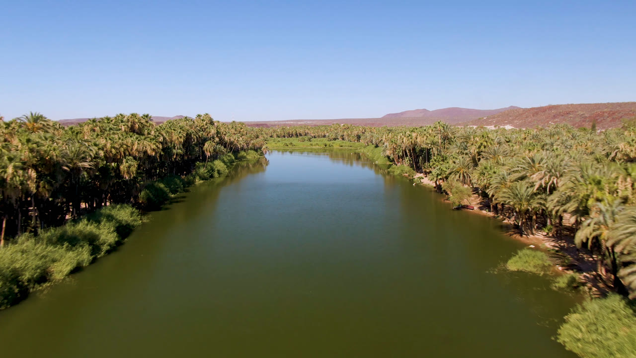 Opening aerial frame over San Ignacio, Baja California Sur, showing green water centered between palm groves, reddish hills on the horizon, clear blue sky, and no visible people.