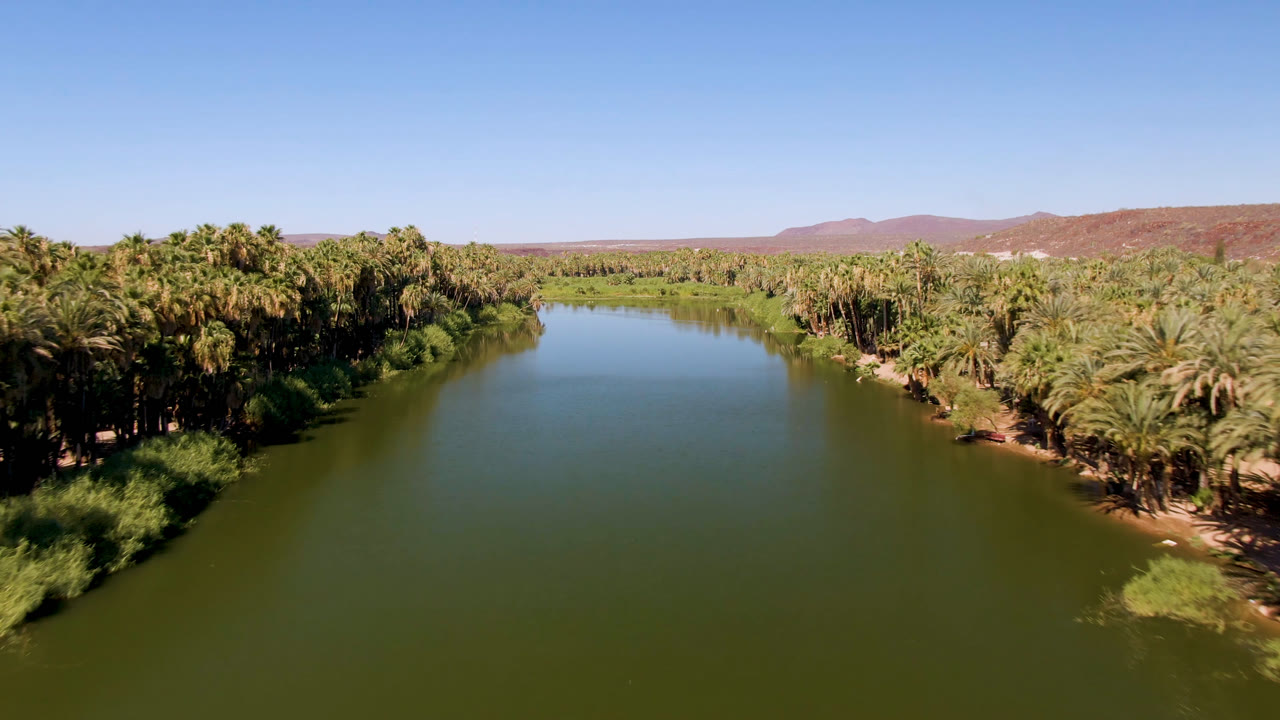 A wide aerial view in San Ignacio, Baja California Sur, with calm green water running through the center, thick palms on both banks, distant dry hills, and no visible people.