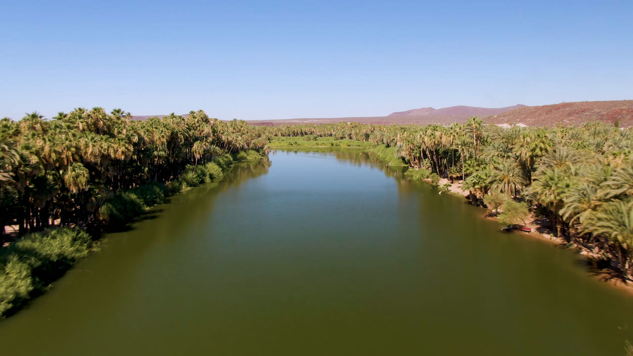 Aerial oasis view with a broad water surface and palm groves under blue sky.