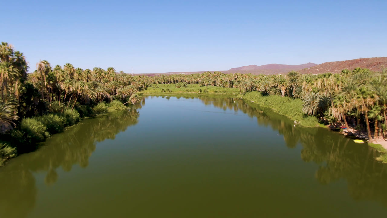 Opening frame of a green river in San Ignacio, Baja California Sur, with palm groves on both banks, low desert hills beyond, clear blue sky, and no visible people.