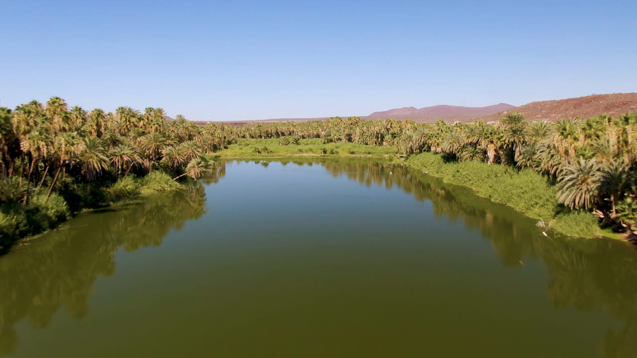 Green river surface reflecting palm trees with a palm-lined bank and distant hills.