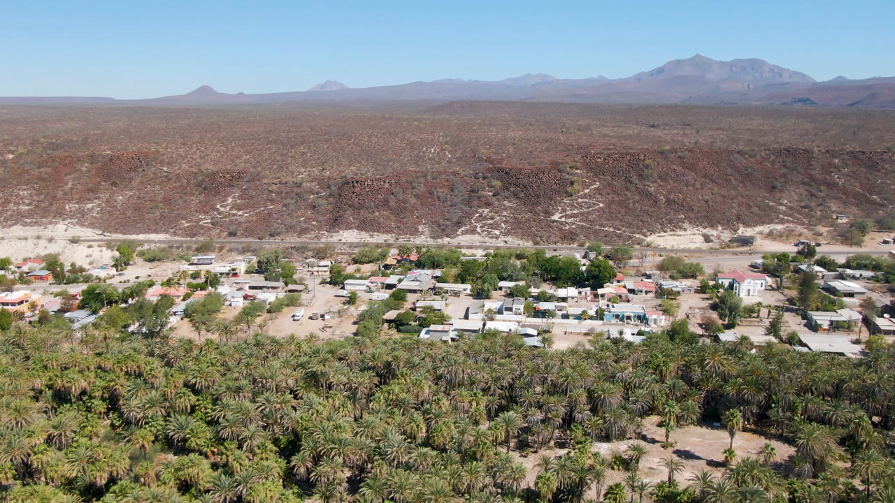 Early aerial frame of San Ignacio showing palms across the foreground, scattered rooftops and pale roads in the middle distance, a brown desert ridge, distant mountains, clear sky, and no visible people.