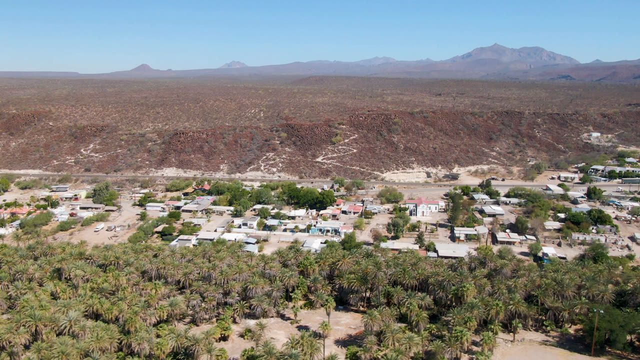 Aerial view over San Ignacio showing dense palms along the lower edge, scattered light-colored buildings, dry terrain, distant mountains, and no visible people.