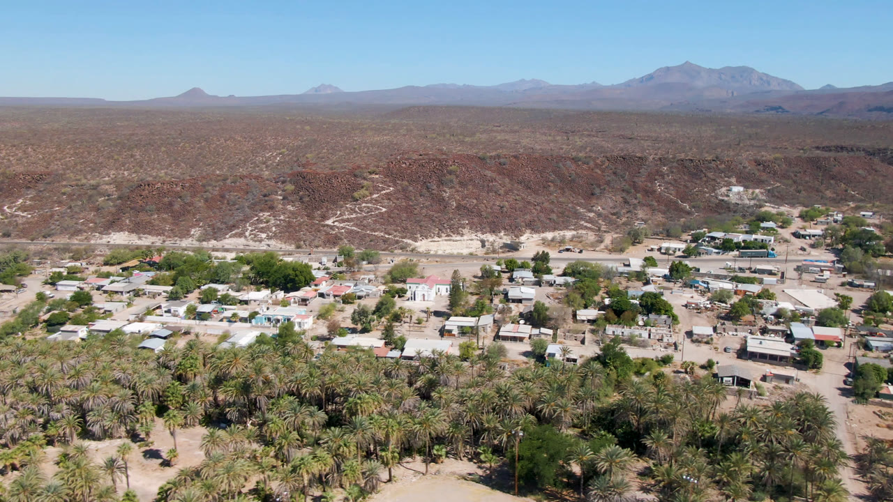 Opening aerial frame over San Ignacio, Baja California Sur, with palm trees in the foreground, scattered town buildings beyond them, desert ridges, distant mountains, and no visible people.