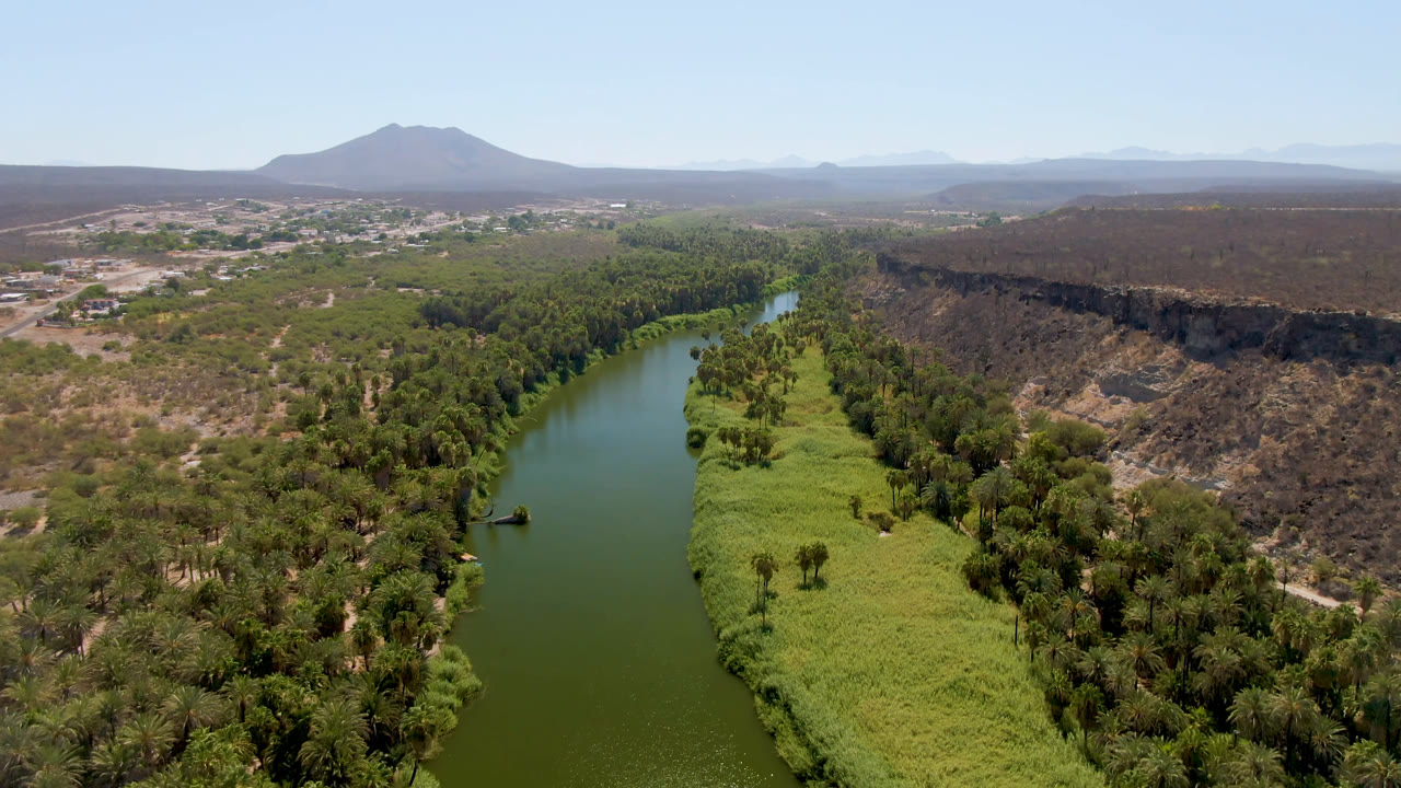Aerial view in San Ignacio, Baja California Sur with the river running through bright green vegetation, palms on both banks, a dark rocky ridge to the right, and no visible people.