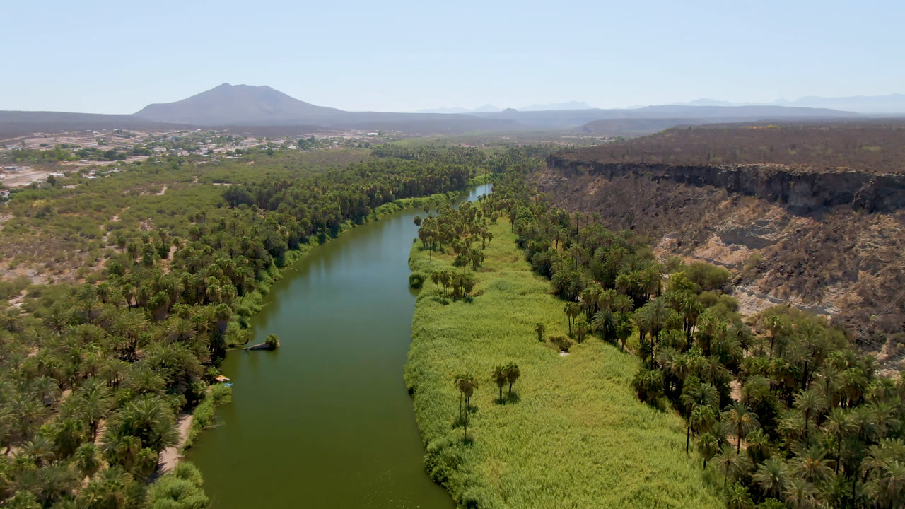Opening aerial frame over San Ignacio, Baja California Sur, Mexico, showing a green river bordered by palms and reeds, a rocky bluff to the right, distant settlement, mountains, clear sky, and no visible people.