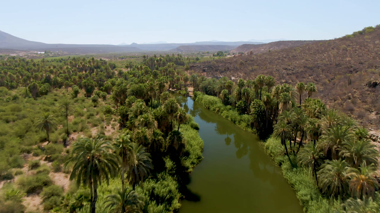 A second aerial frame in San Ignacio shows the palm-lined river running through the center of the oasis, with brown ridges and distant flat desert under clear sky, no visible people.