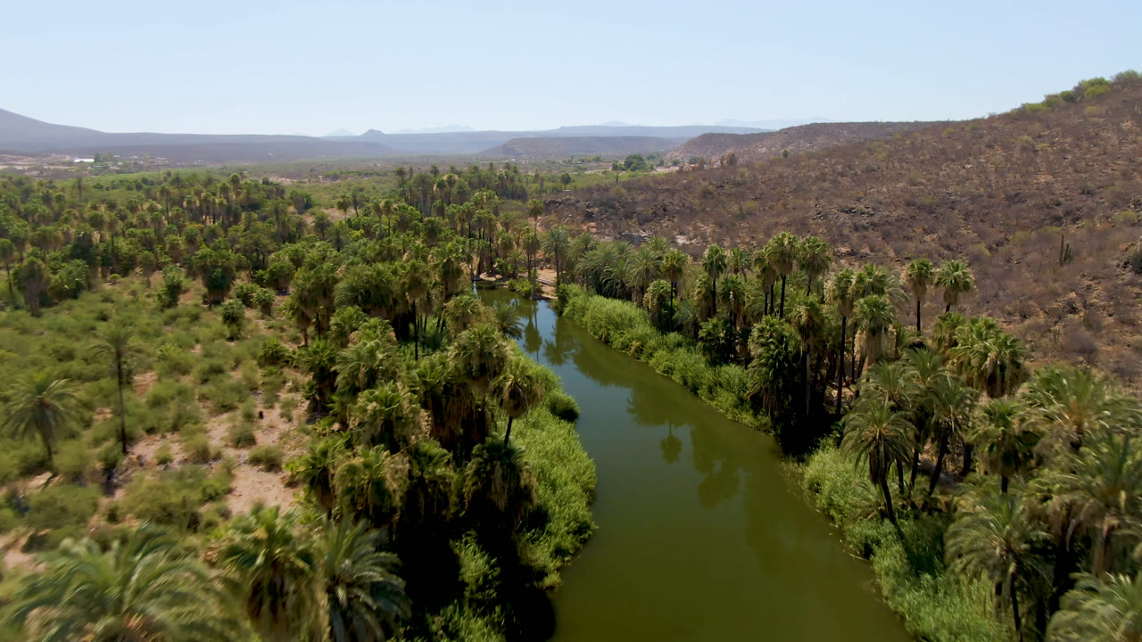 Wide aerial of palms clustered beside a green waterway in desert terrain.