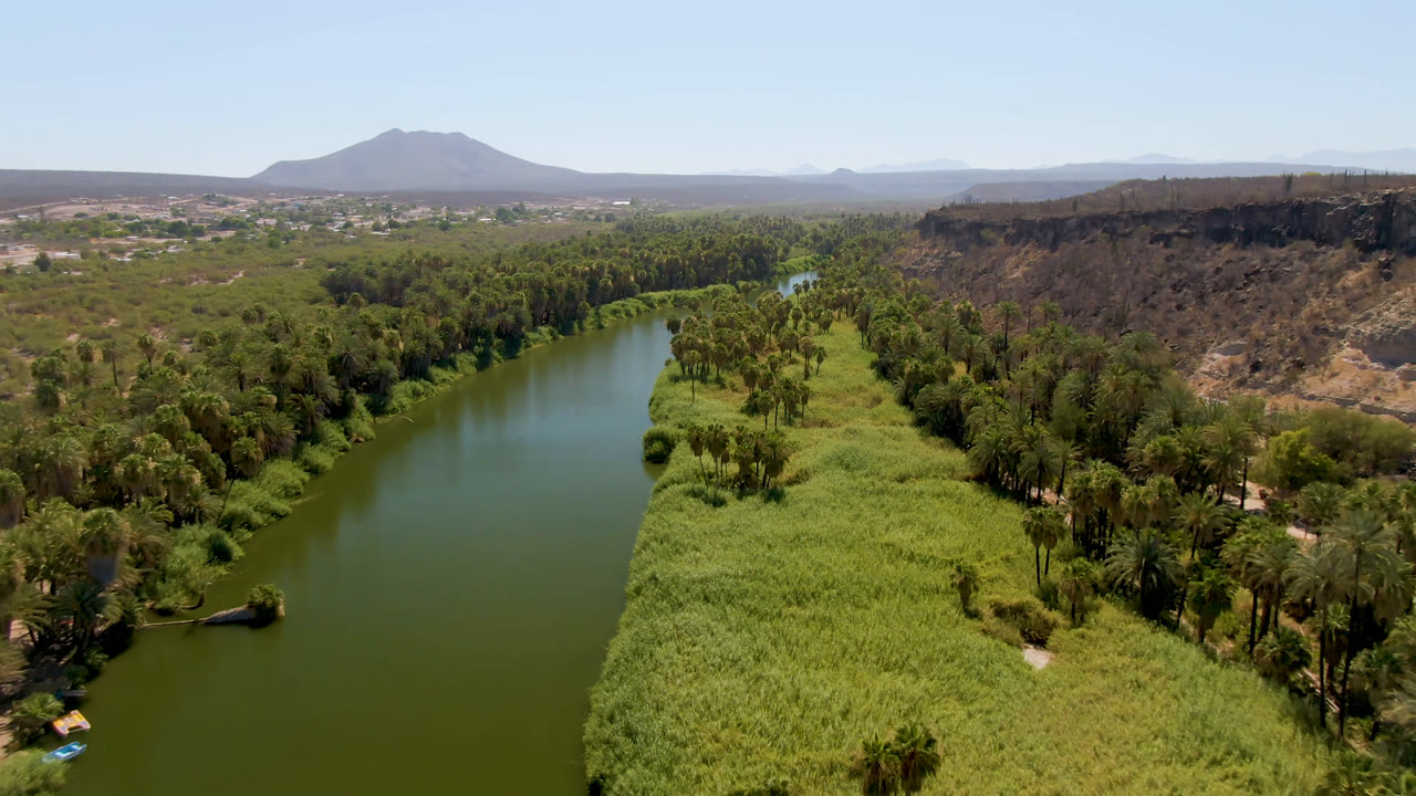 Aerial frame over San Ignacio, Baja California Sur, Mexico, showing a green river at left, dense reeds and palms at center, a rocky bluff at right, distant mountains, and no visible people.