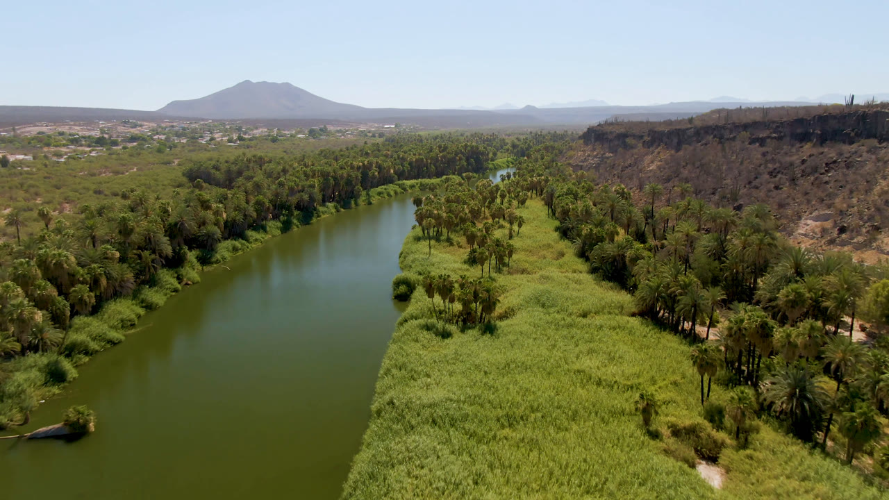Aerial river oasis with reeds, palms, rocky slope, town edge, and mountain horizon.