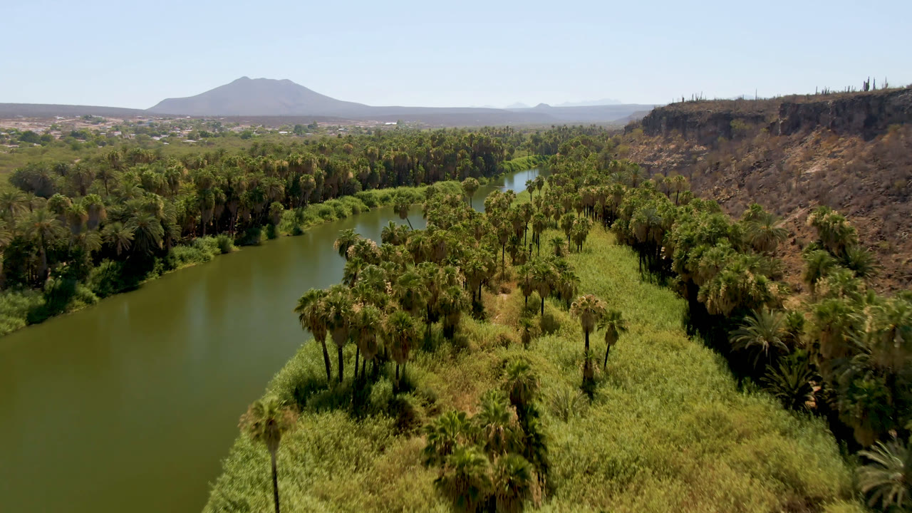 Aerial frame in San Ignacio, Baja California Sur, with the river running diagonally through palms and reeds, a rocky escarpment on the right, low mountains on the horizon, and no visible people.