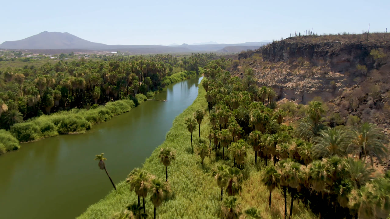 Aerial view in San Ignacio, Baja California Sur, Mexico, with green river water curving past dense palms, a rocky bluff, distant mountain, clear sky, and no visible people.