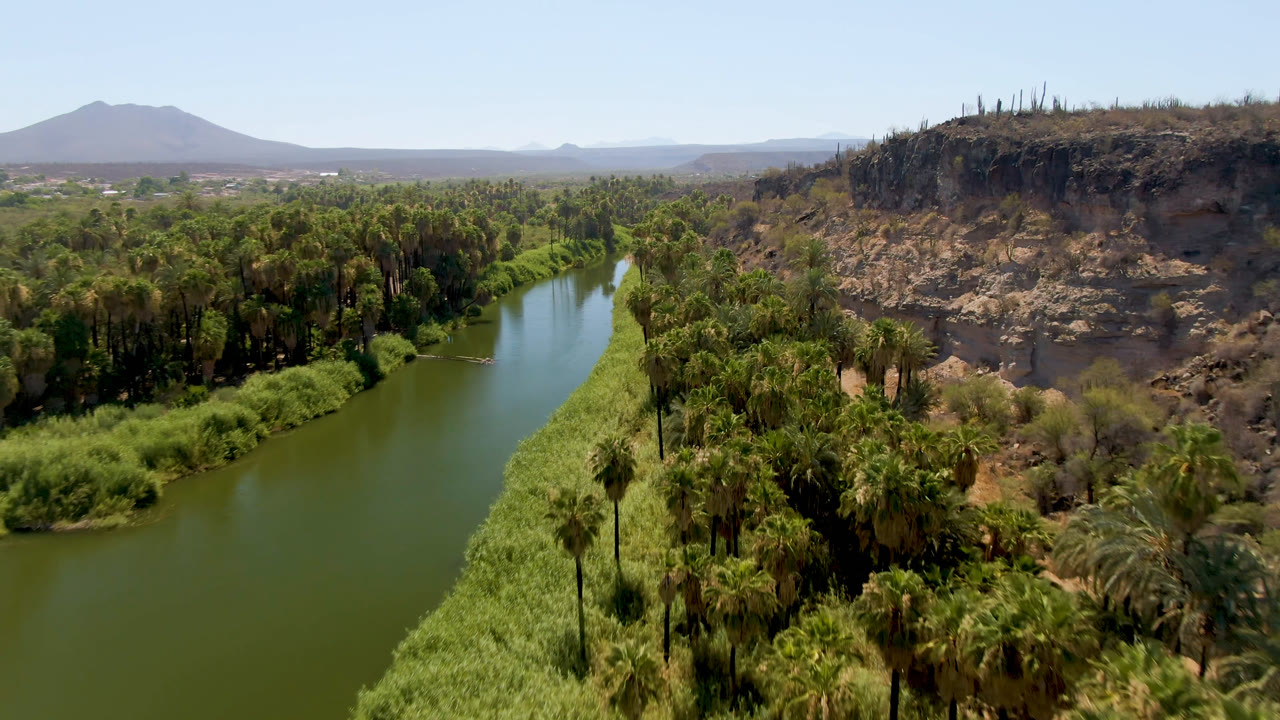 Aerial river bend with palms, tall grasses, rocky slope, and open desert horizon.