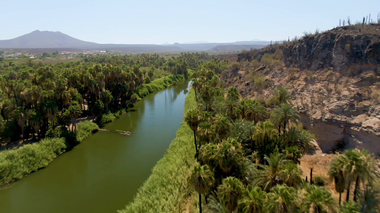 Aerial view in San Ignacio, Baja California Sur, Mexico, showing a green river running between dense palms and a rocky hillside, with a distant mountain and no visible people.