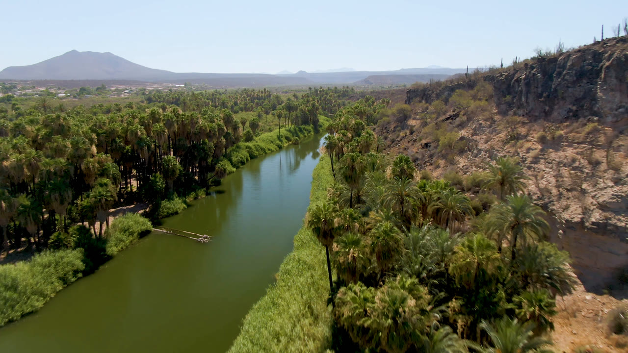 Aerial frame from San Ignacio, Baja California Sur, Mexico, with the green river centered between palm groves, desert vegetation, a rocky slope, and a hazy mountain in the distance, with no visible people.