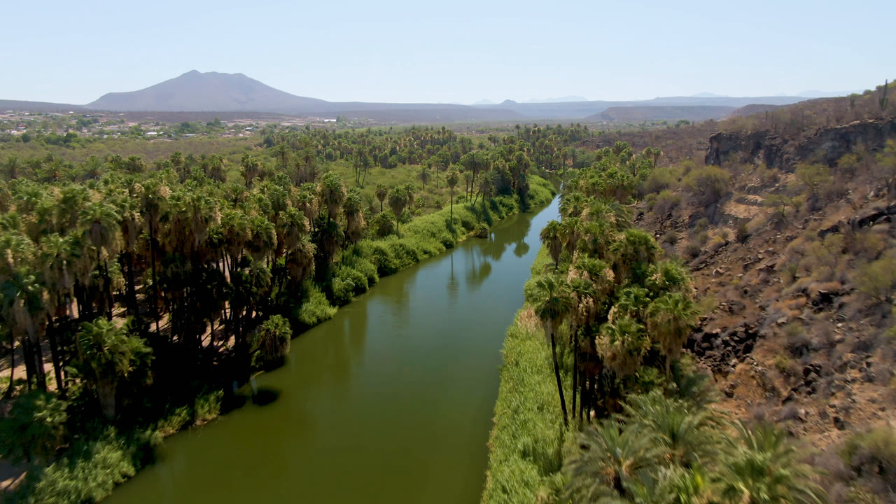Aerial view of a green river beside dense palms and rocky hills.