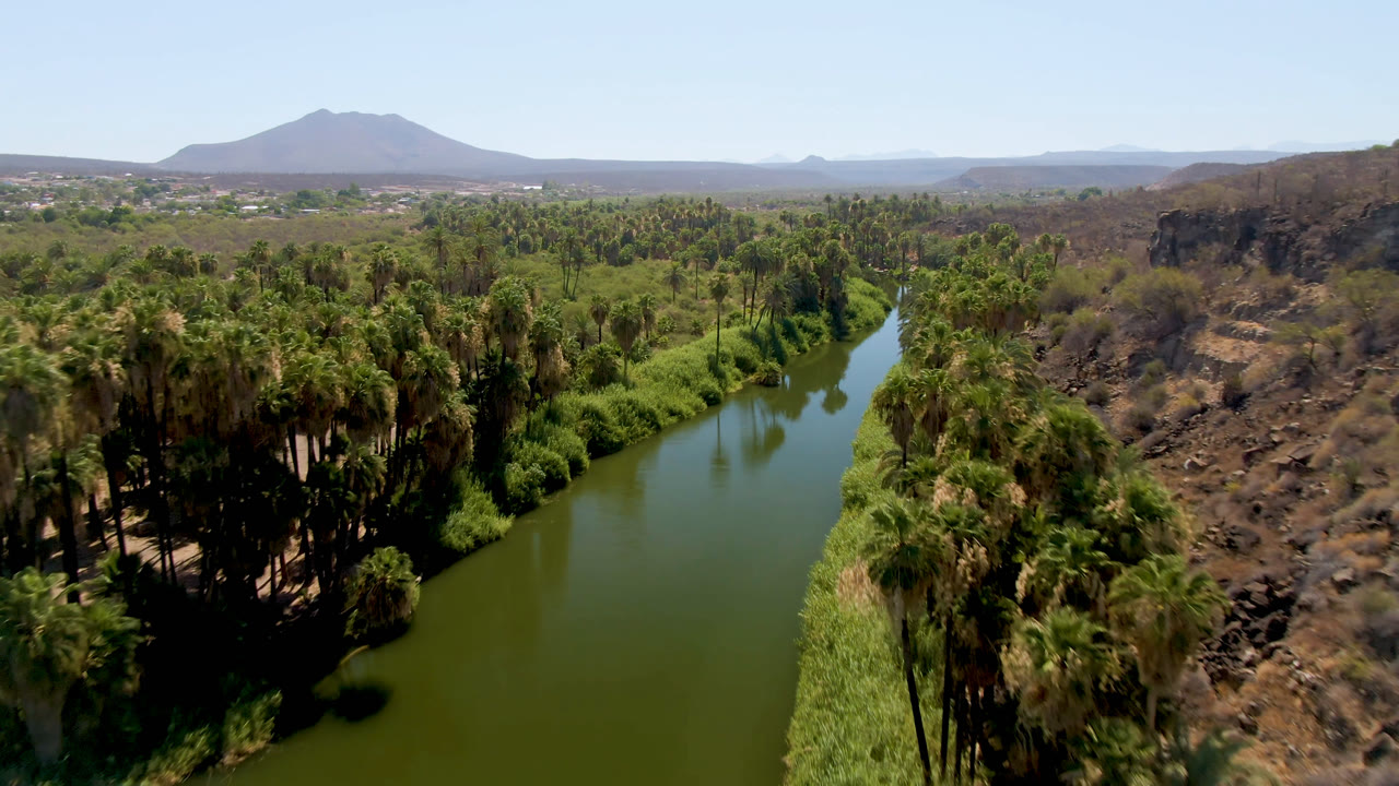 Aerial view in San Ignacio, Baja California Sur, Mexico, looking along the green river between thick palms and reeds, with a rocky ridge at right, distant buildings, a mountain, and no visible people.