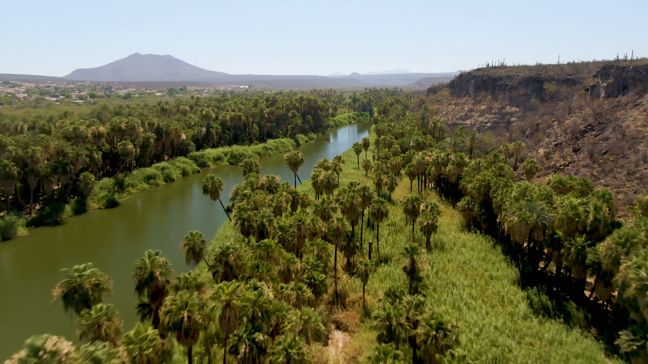 Aerial view of a green river winding past palms and rocky desert bluffs.