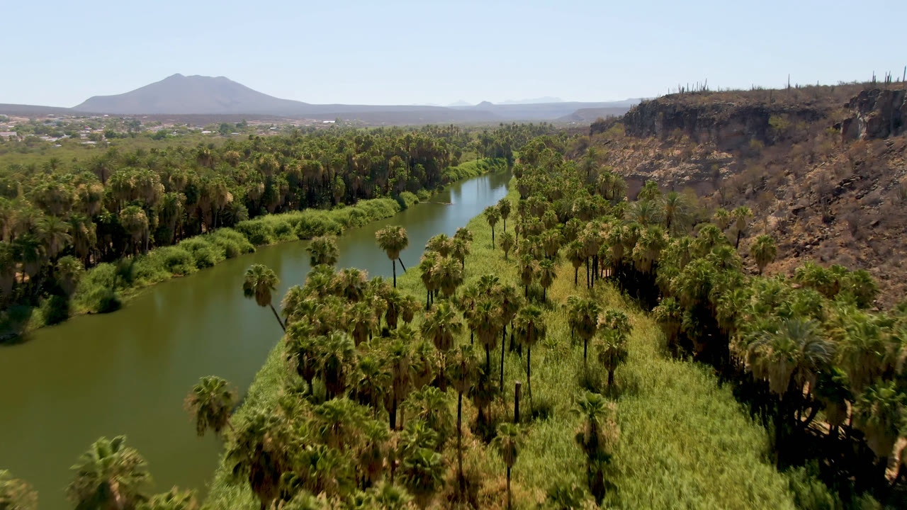 Aerial frame over San Ignacio with the river running up the center-left, palm canopy below, brown cliff face to the right, distant settlement, and no visible people.