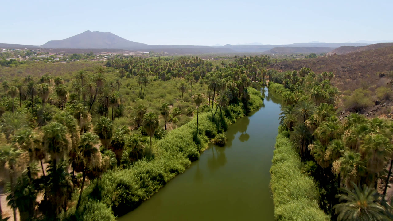 Aerial view of a green river bordered by palm trees and desert hills.