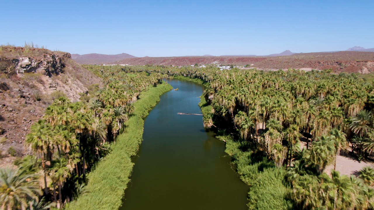 Aerial view over a green river lined with palms in San Ignacio, Baja California Sur, with a rocky bluff at left, distant desert mountains, and no visible people.