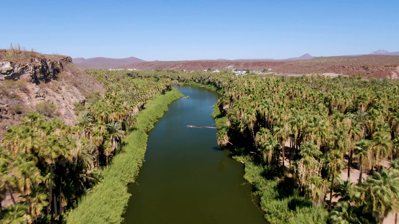 Elevated view down the San Ignacio river channel, with dense palms on both banks, a rock face near the right edge, desert ridges in the distance, and no visible people.